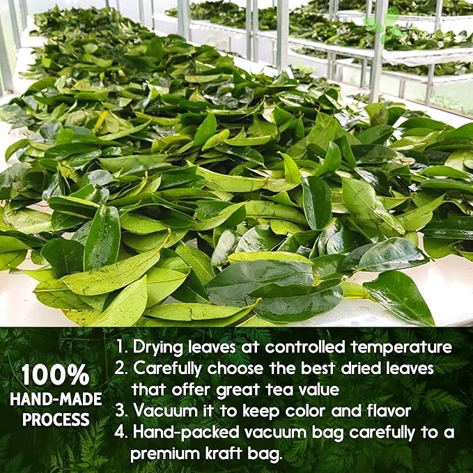 FreshDrinkUS, Premium 30+ Soursop Graviola Dried Leaves, Natural Whole Soursop Leaves, Wildcrafted, Hoja Guanabana, Loose Leaf Herbal Tea, No Gluten, Vegan