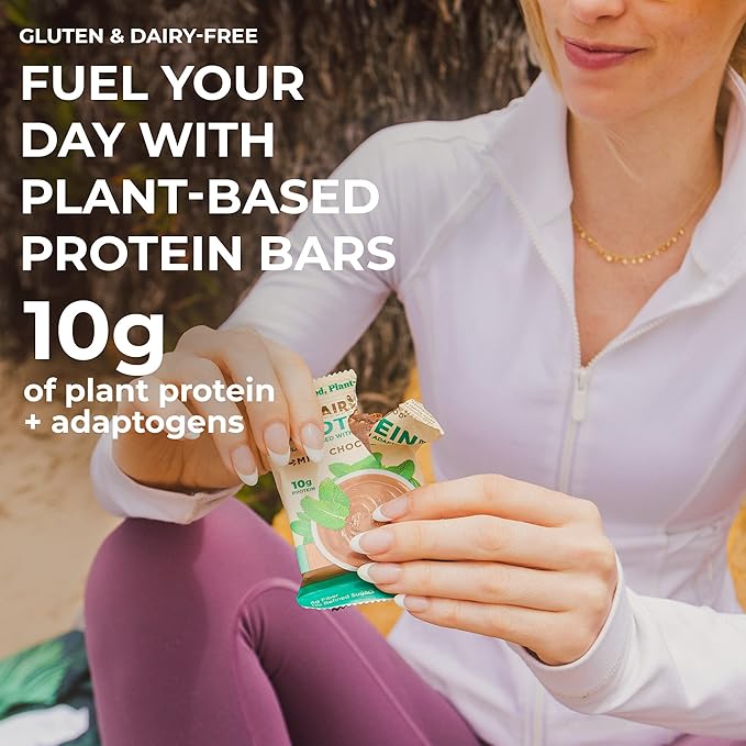Laird Superfood Functional Protein Bars – Protein Bar but Better with Real Ingredients, Functional Mushrooms 10g Plant-Based Protein, 6g Fiber - Non-GMO - Mint Chocolate, 10 Count (Pack of 1)