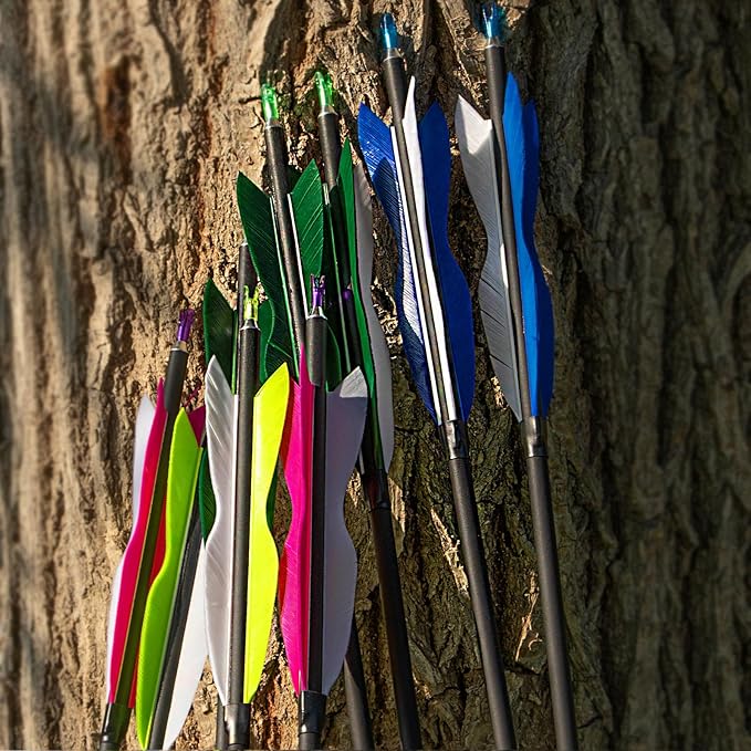 S F 30" Traditional Archery Carbon Feather Arrows 500 Spine Traditional Arrows Long Bows Archery Compound Bow Arrows Arrows for Compound Bow Arrows for recurve Bow（12 Pack）