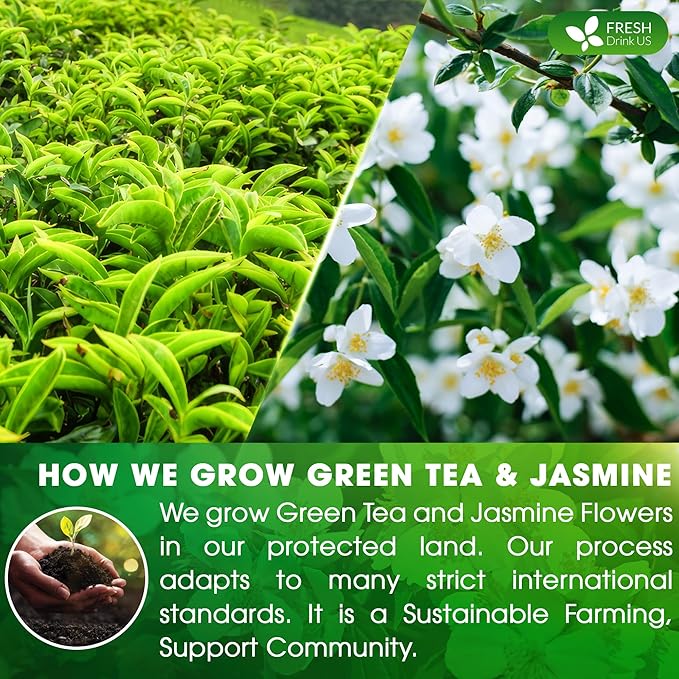 FreshDrinkUS Premium 135 Jasmine Green Tea Bags - 100% Natural & Pure, Made with Natural Material Tea Bags, No Sugar, No Gluten, Vegan