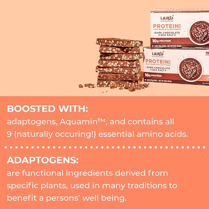 Laird Superfood Functional Protein Bars – Protein Bar but Better with Real Ingredients, Functional Mushrooms 10g Plant-Based Protein, 6g Fiber - Non-GMO - Dark Chocolate Sea Salt, 10 Count (Pack of 1)