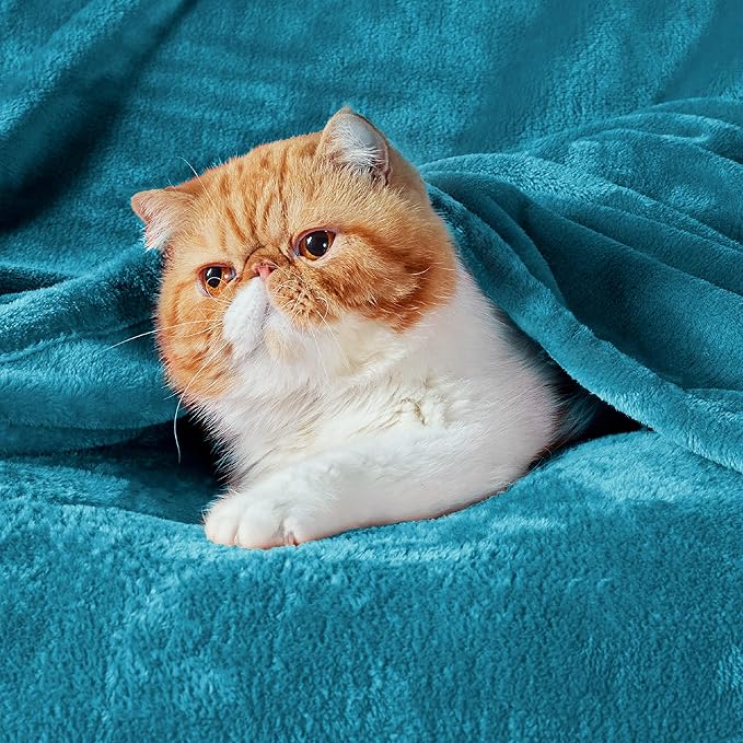 Bedsure Fleece Blankets King Size Teal - Bed Blanket Soft Lightweight Plush Cozy Fuzzy Luxury Microfiber, 108x90 inches