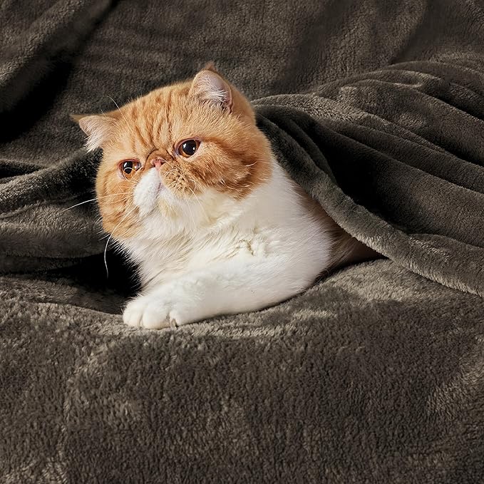 Bedsure Fleece Throw XL Blanket Brown - 300GSM Soft Lightweight Plush Cozy Blankets for Bed, Sofa, Couch, Travel, Camping, 50x70 inches