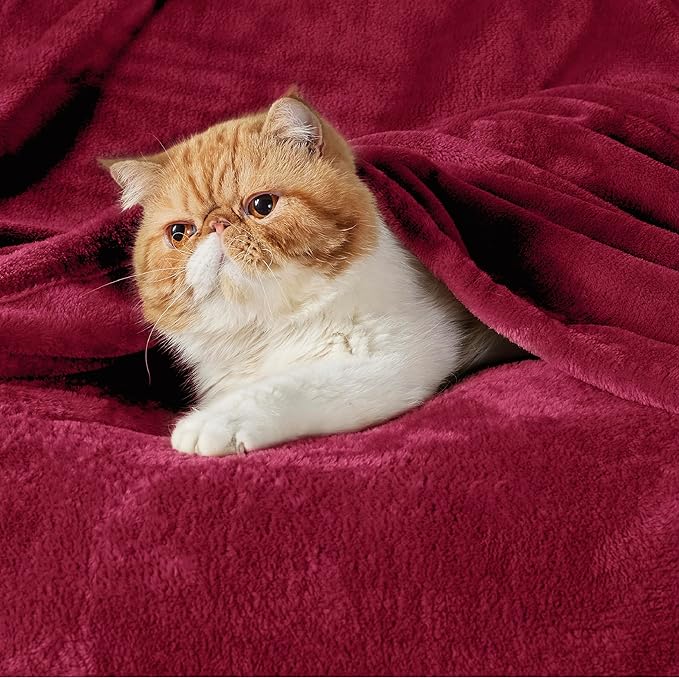 Bedsure Fleece Throw Blanket Red - 300GSM Blankets for Couch, Sofa, Bed, Soft Lightweight Plush Cozy Throws for Toddlers, 50x60 inches